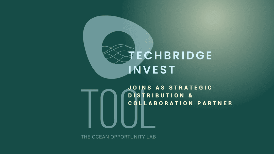 Hands holding each other