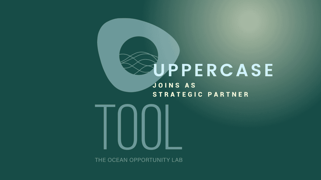 Hands holding each other