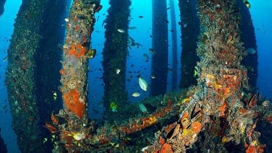 Hands holding each other