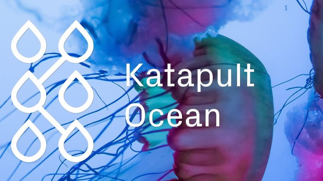 Hands holding each other